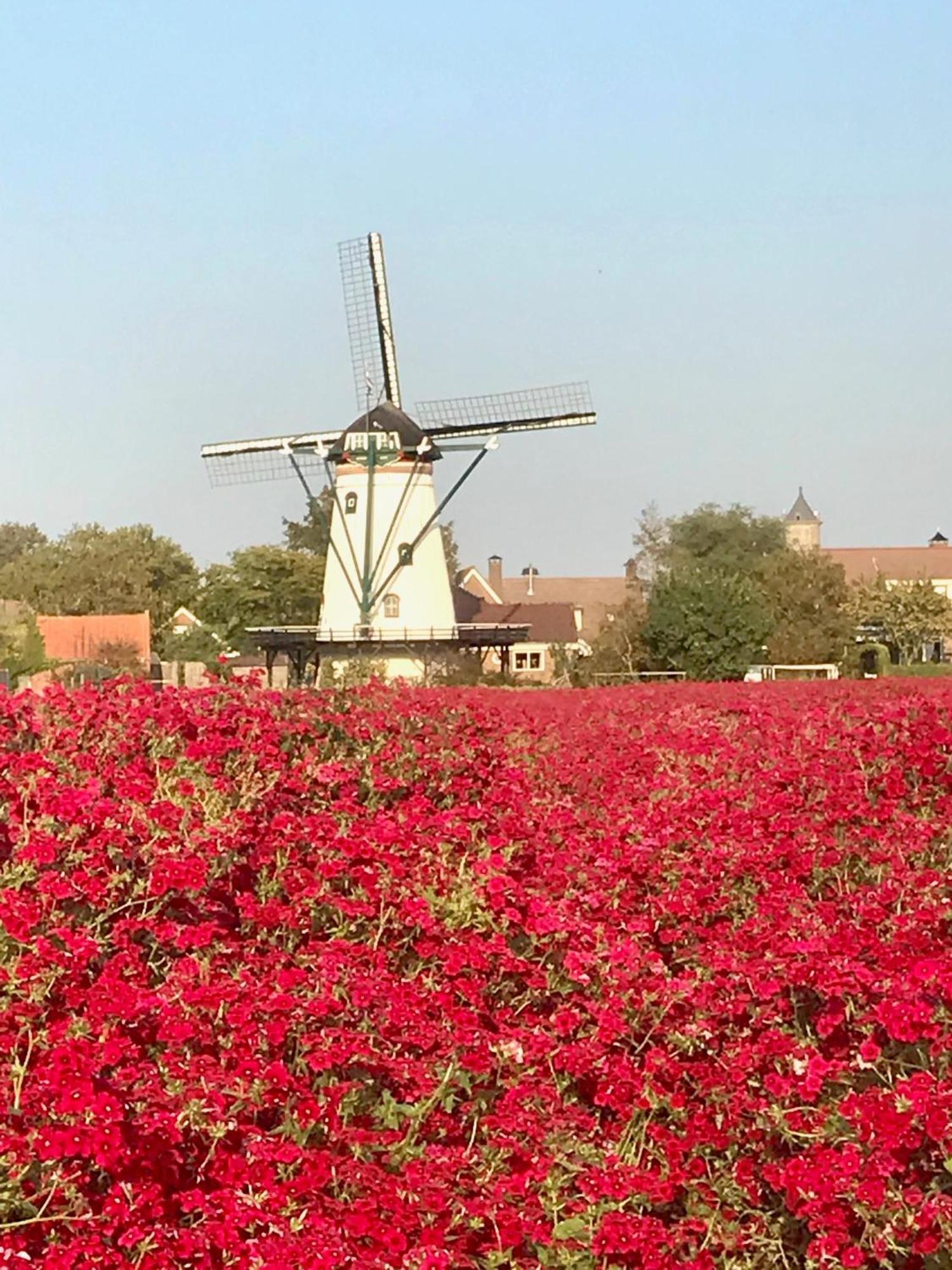 Oosterschelde Lodge Met Veel Privacy En Dicht Bij Het Water Scherpenisse Екстер'єр фото